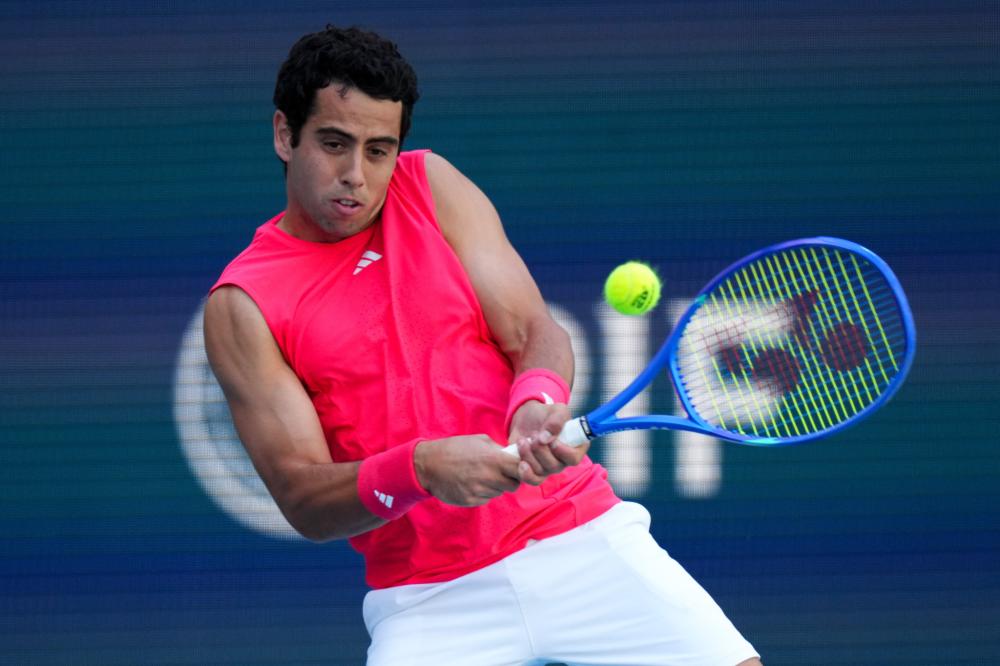 迷的目光 迷的目光