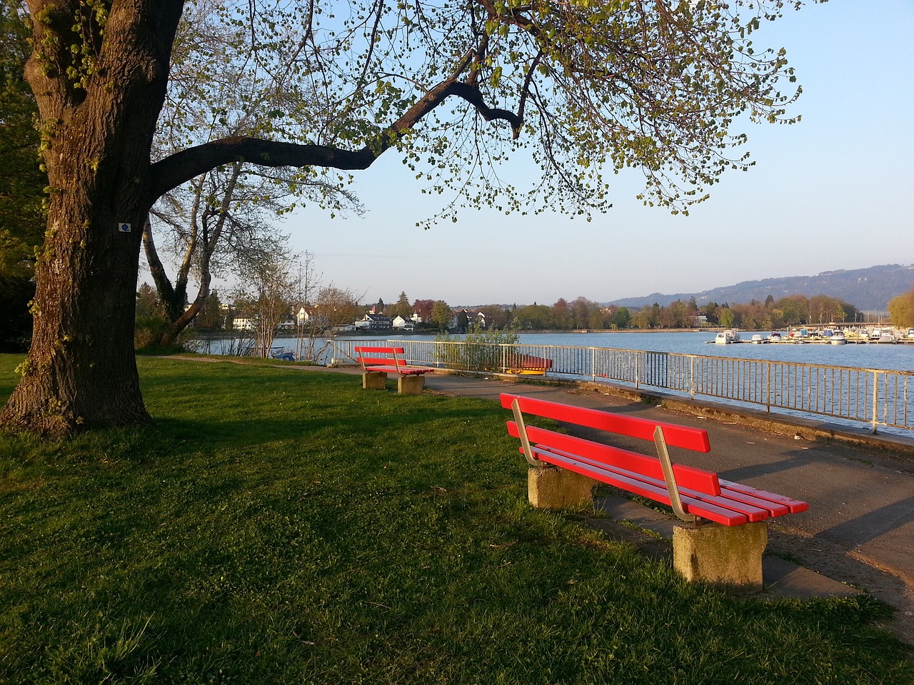 兰特的对决 兰特的对决