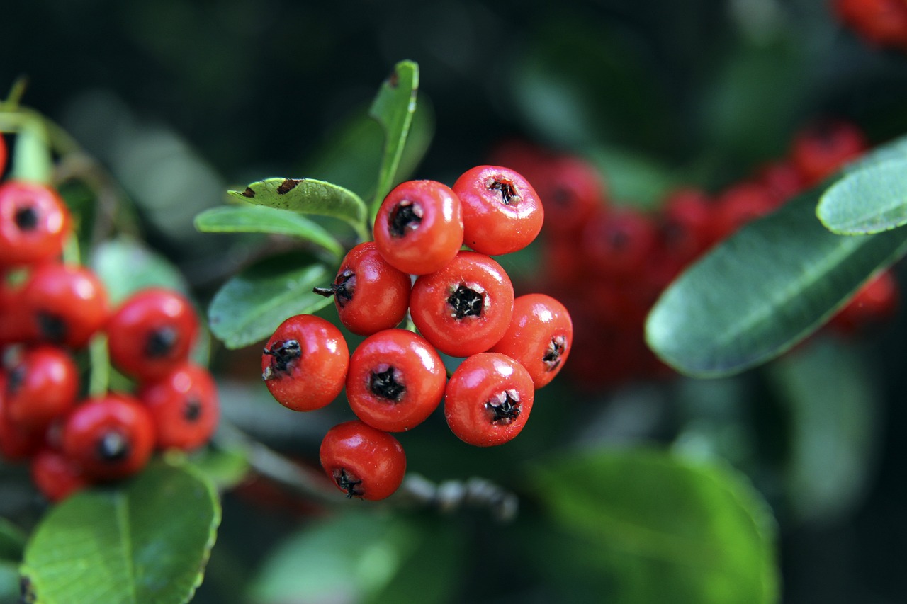 勇士将在下 勇士将在下