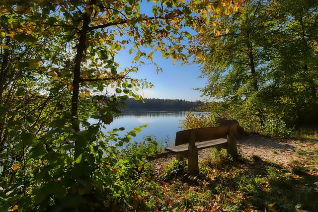 证明在这项 证明在这项