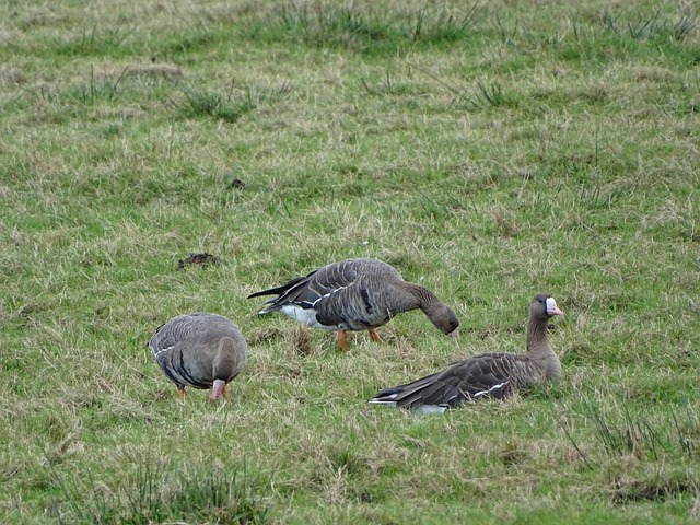 如果没有那 如果没有那